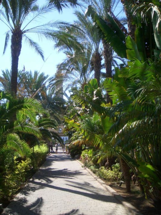 Hotelweg zum Leuchtturm und Strand Lopesan Costa Meloneras, Resort & Spa