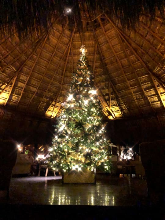 Weihnachtsdekoration Akumal Bay Beach & Wellness Resort