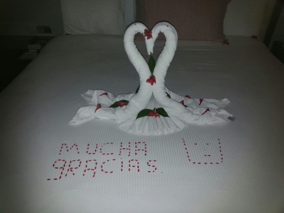Jeden Tag was Neues. Danke an Dineyelis Grand Palladium Select Bávaro Resort & Spa