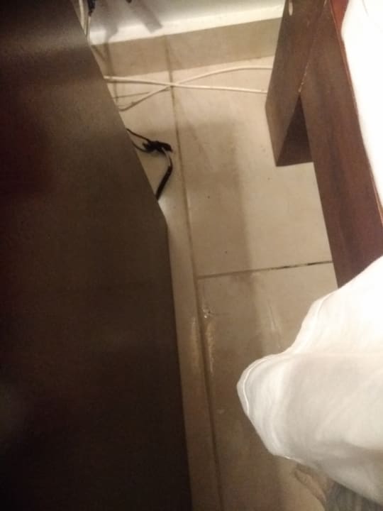 Zimmer Grand Paradise Playa Dorada