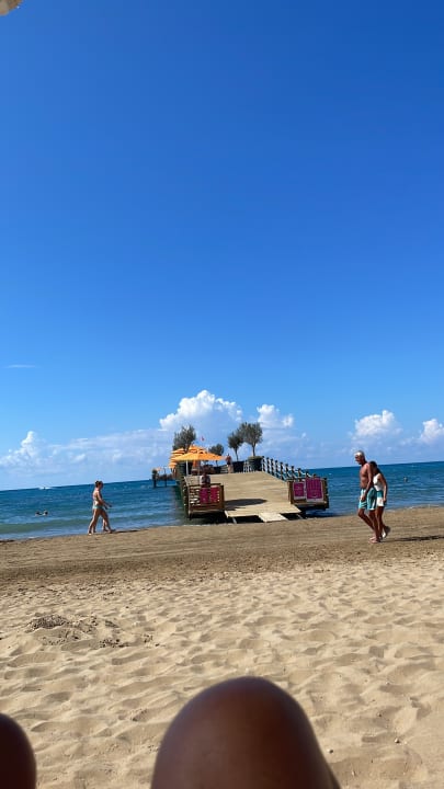 Strand Arum Barut Collection