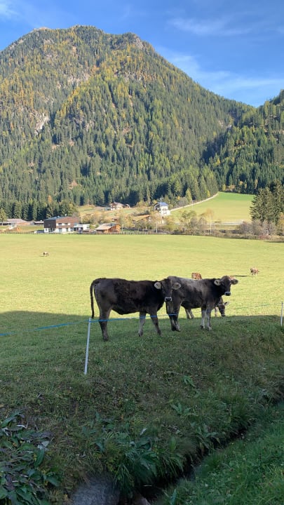 Sonstiges Natur Residenz Blaslahof