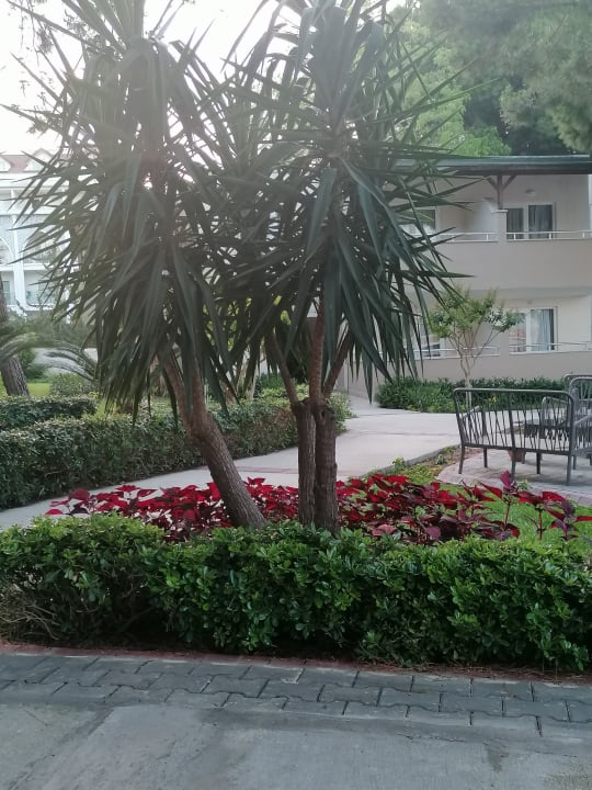 Außenansicht Club Sidelya Hotel