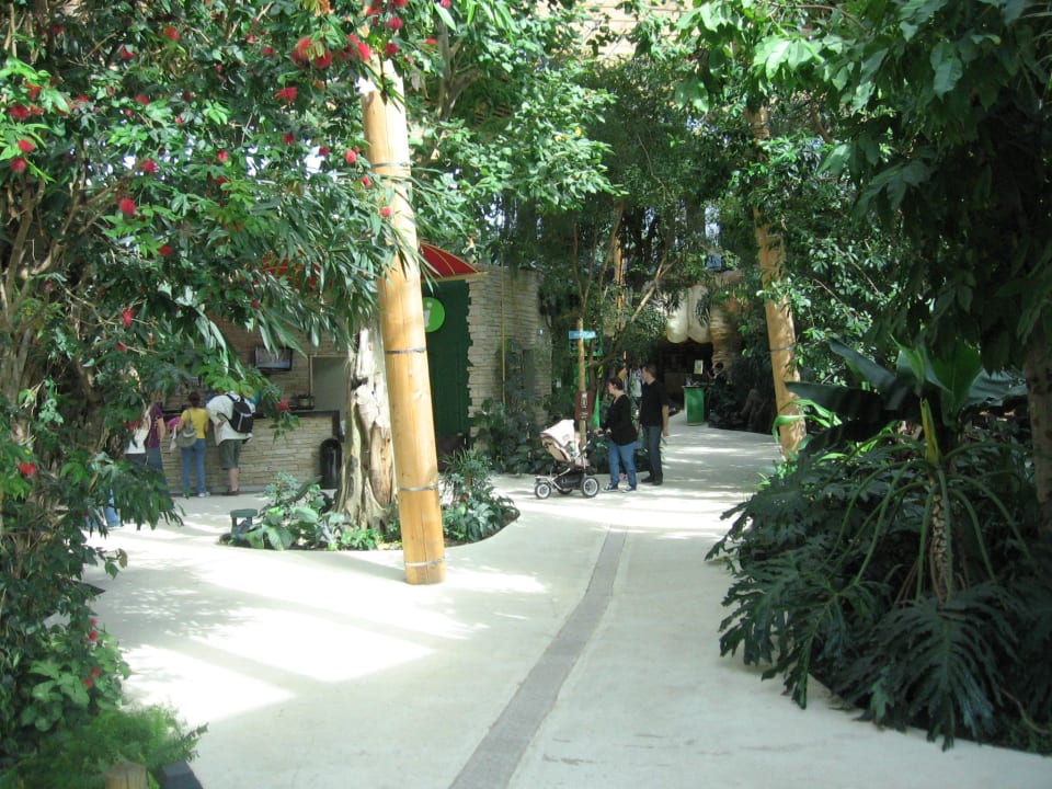 Market Dome Center Parcs Les Trois Forêts