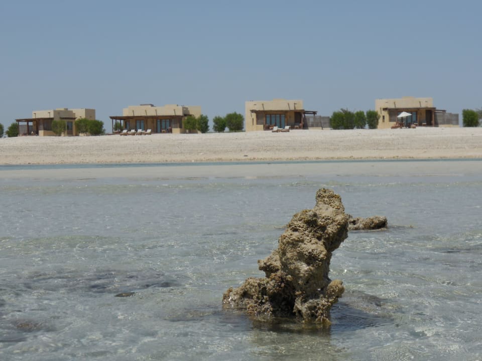 Kleine Korallenbänke Anantara Sir Bani Yas Island Al Yamm Villa Resort