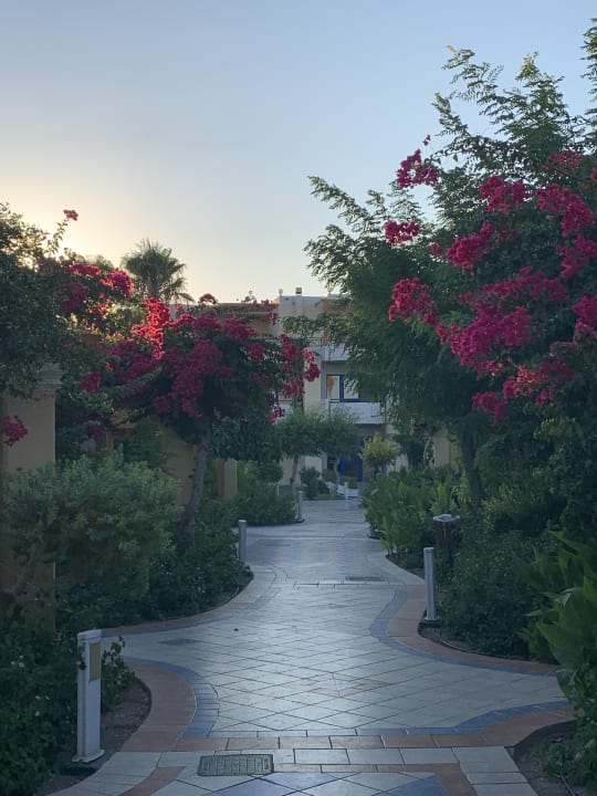 Gartenanlage Atrium Palace Thalasso Spa Resort & Villas