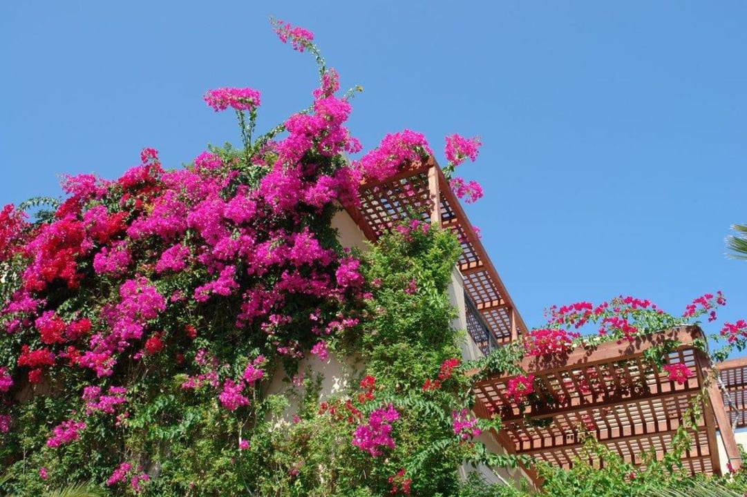 Blumen Grand Hotel Holiday Resort