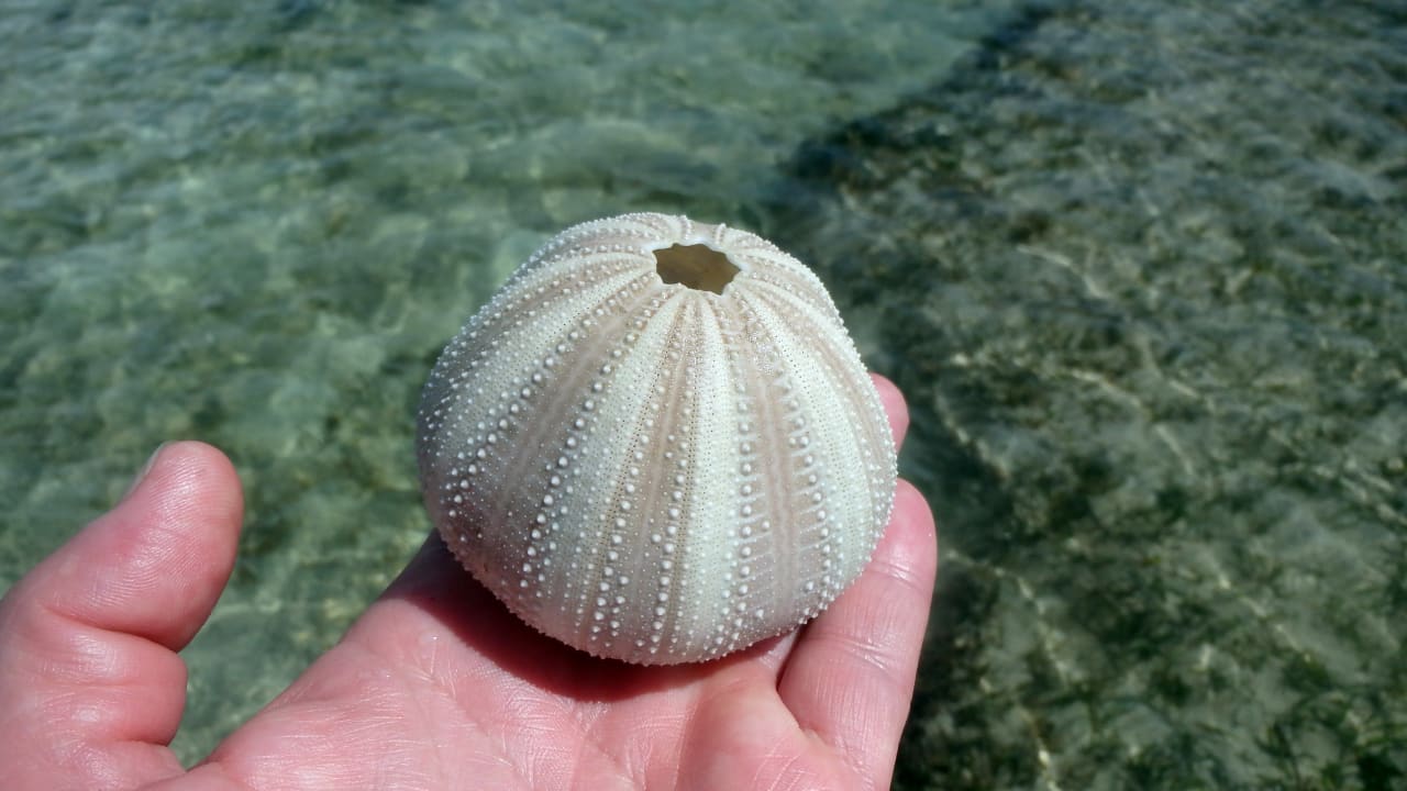 Strand Bahari Beach Hotel