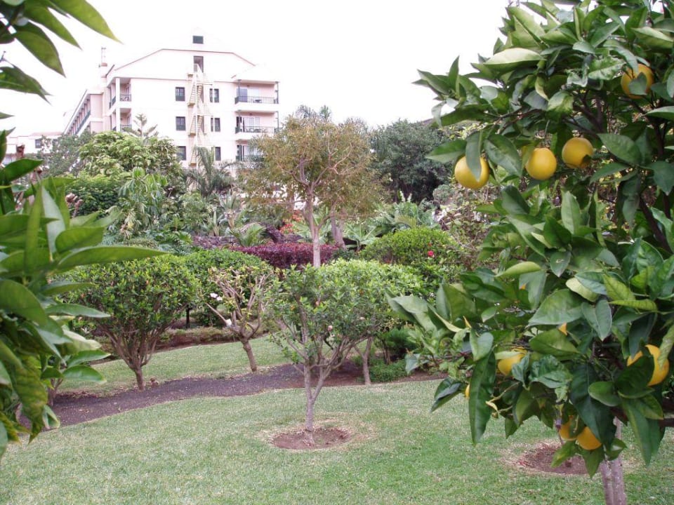 Hotelgarten BLUESEA Costa Jardin Spa