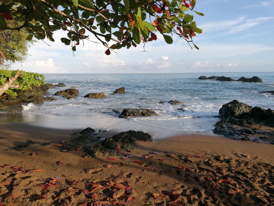 Strand The Sunset Tucano Lodge