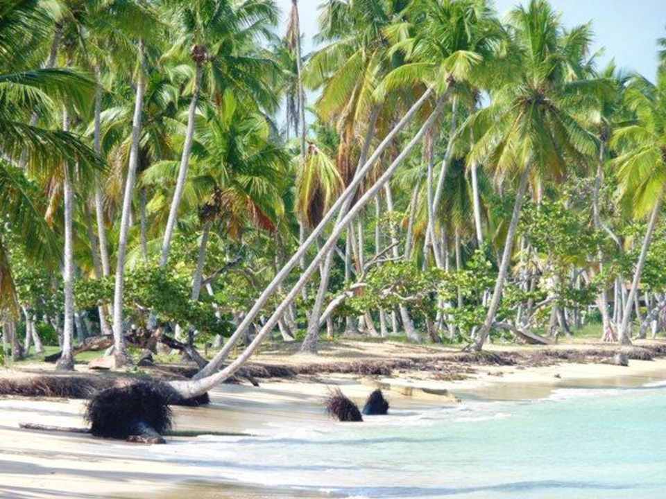 Strandspaziergang Bahia Principe Grand El Portillo