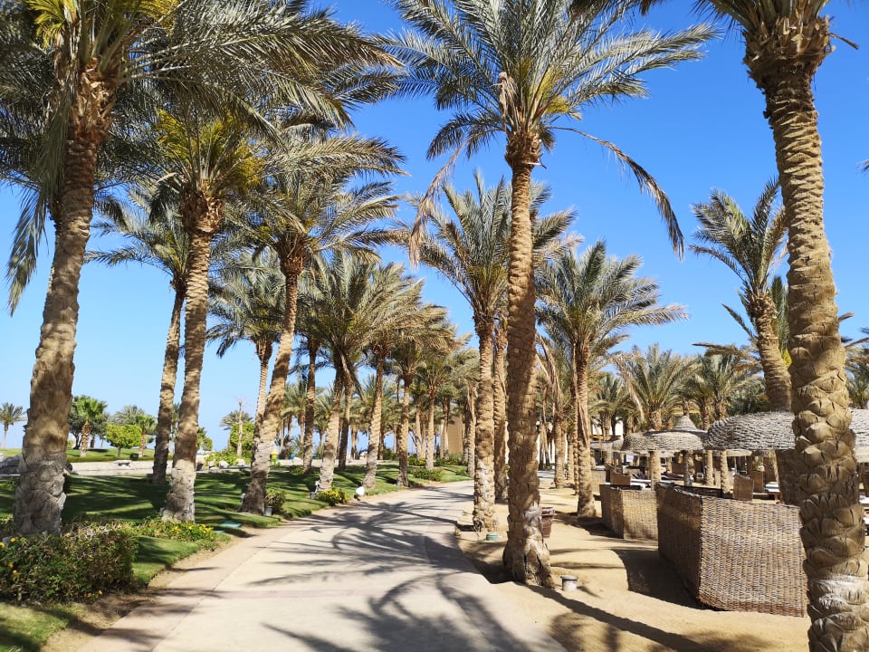 Strand Palm Royale Resort - Soma Bay