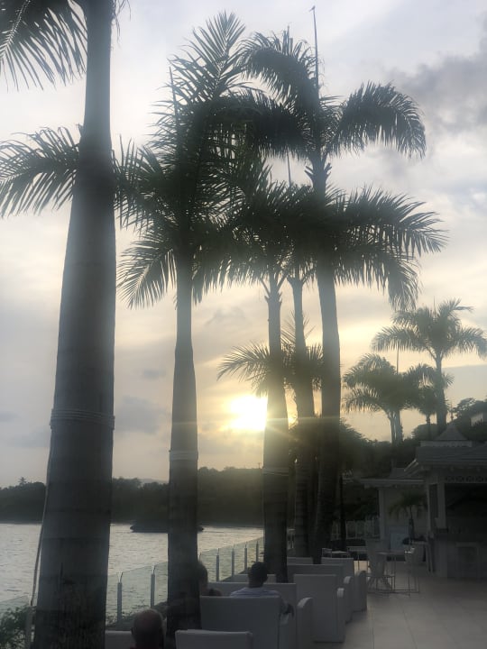 Ausblick Bahia Principe Grand Samana - Adults Only