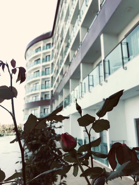 Außenansicht Dream World Aqua Hotel