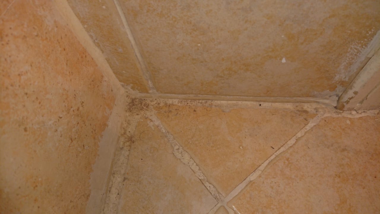 Zimmer Ghazala Gardens