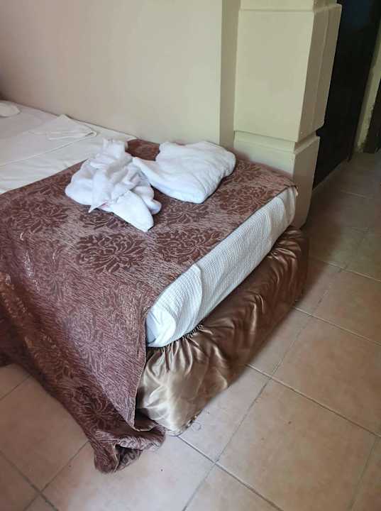 Zimmer Andros Family Club