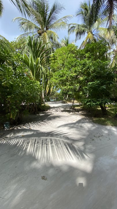 Gartenanlage Kuramathi Maldives