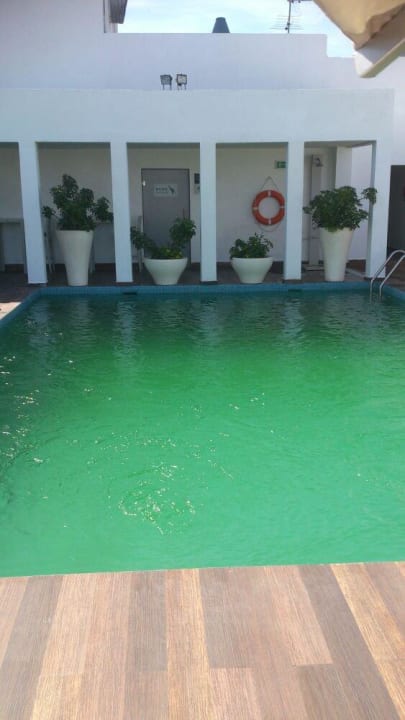 Grünes Wasser, schmutzig  Mövenpick Hotel Casablanca