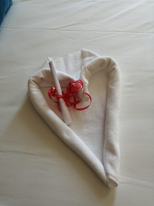 Zimmer Dream World Resort & Spa