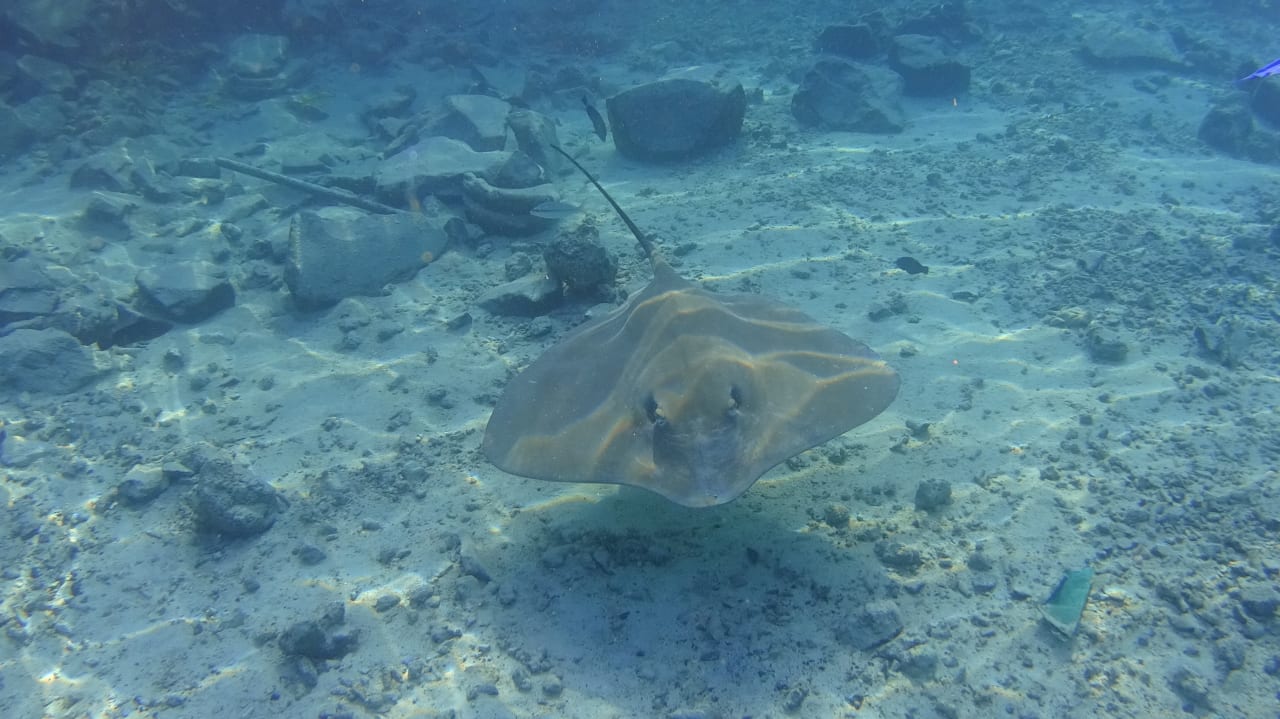 Sonstiges Summer Island Maldives
