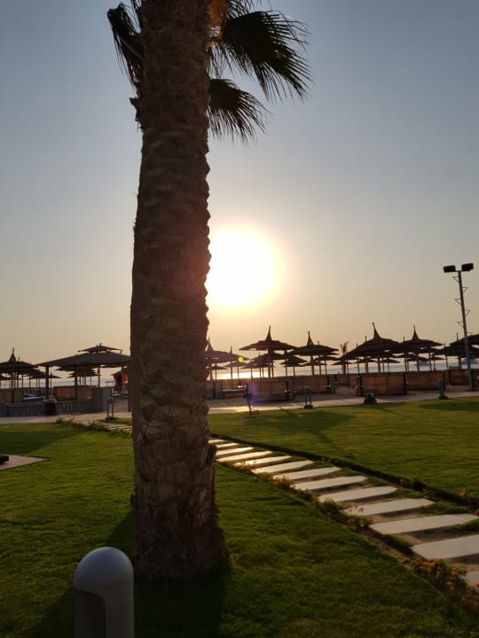 Strand Pickalbatros White Beach Resort - Hurghada
