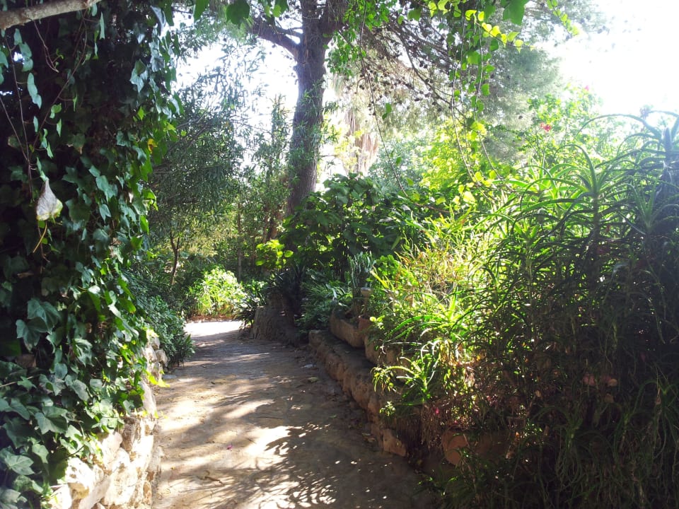 Weg zur Finca Finca Son Blanch