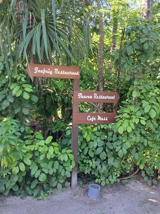 Gartenanlage Adaaran Select Meedhupparu Island Resort - Premium All Inclusive