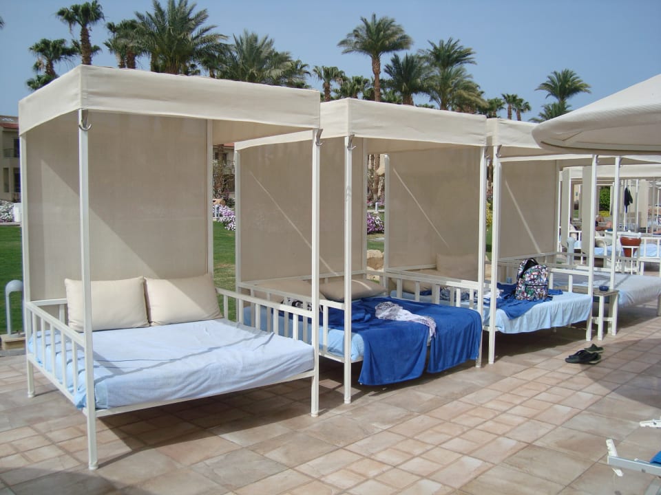 Pool Beach Albatros Resort