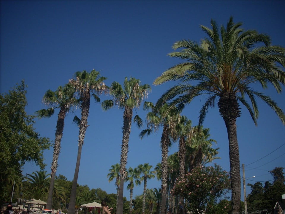 Sonne Iberostar Waves Cala Domingos