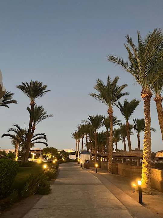 Strand Palm Royale Resort - Soma Bay