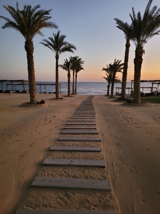 Strand Steigenberger Resort Alaya Marsa Alam - Red Sea - Adults only