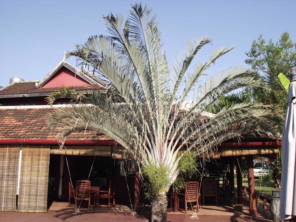 Poolbar Hotel Terres Rouges Lodge