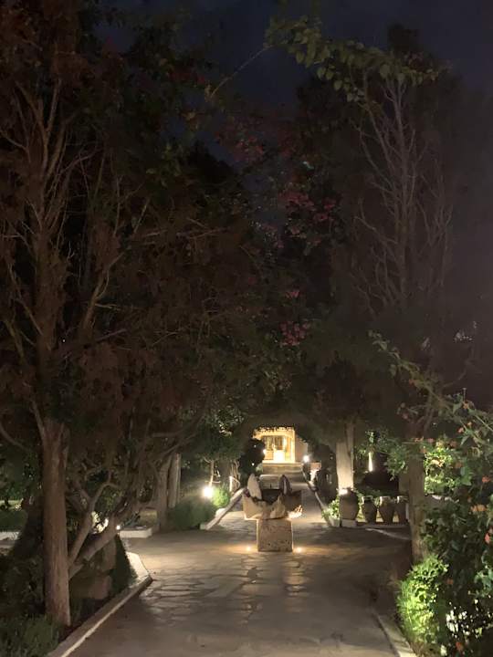 Gartenanlage The Orangers Beach Resort and Bungalows