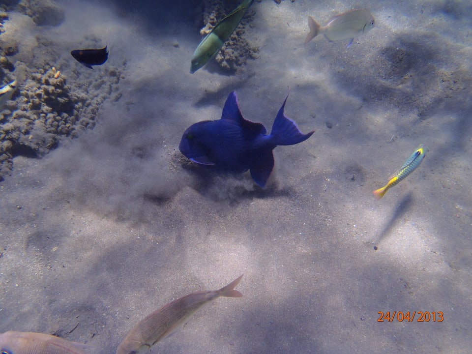 Am Steg Happy Life Village