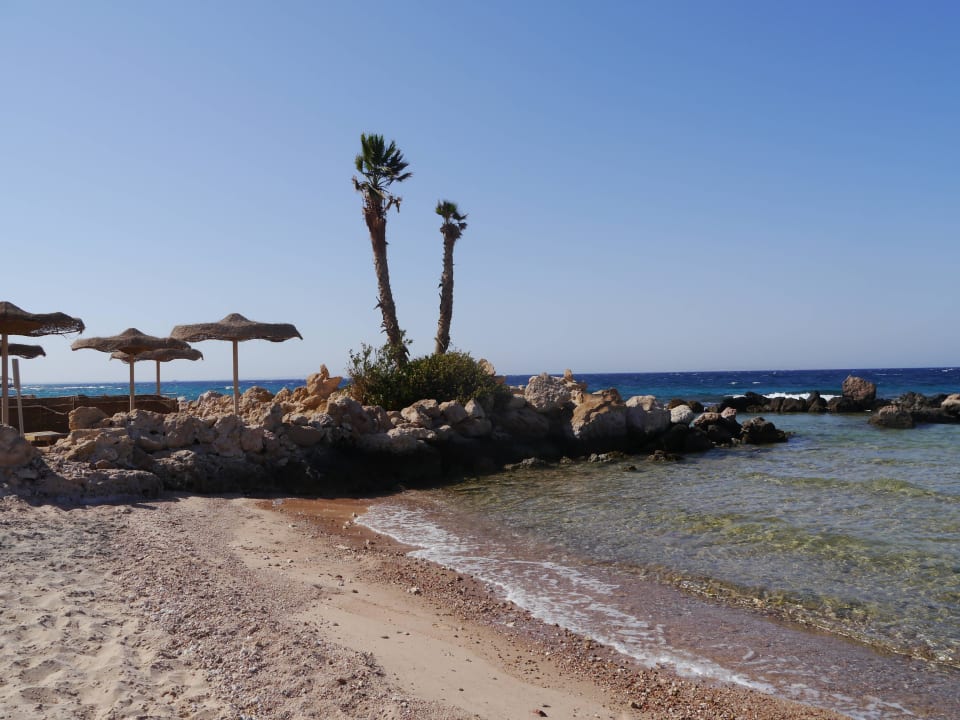 Strand Pickalbatros Citadel Resort