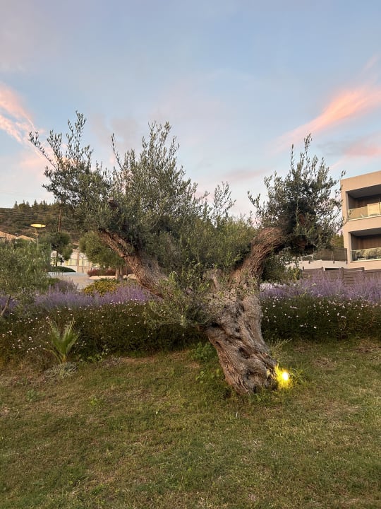 Gartenanlage Lagomandra Hotel & Spa