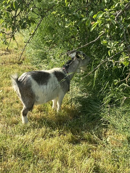 Ausblick Ferienhof Uebelhör