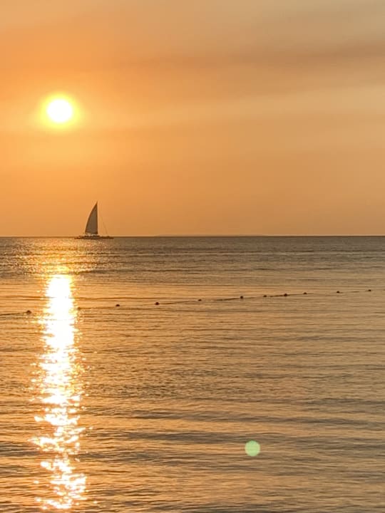 Ausblick Hotel Viva Dominicus Beach by Wyndham - All Inclusive Resort