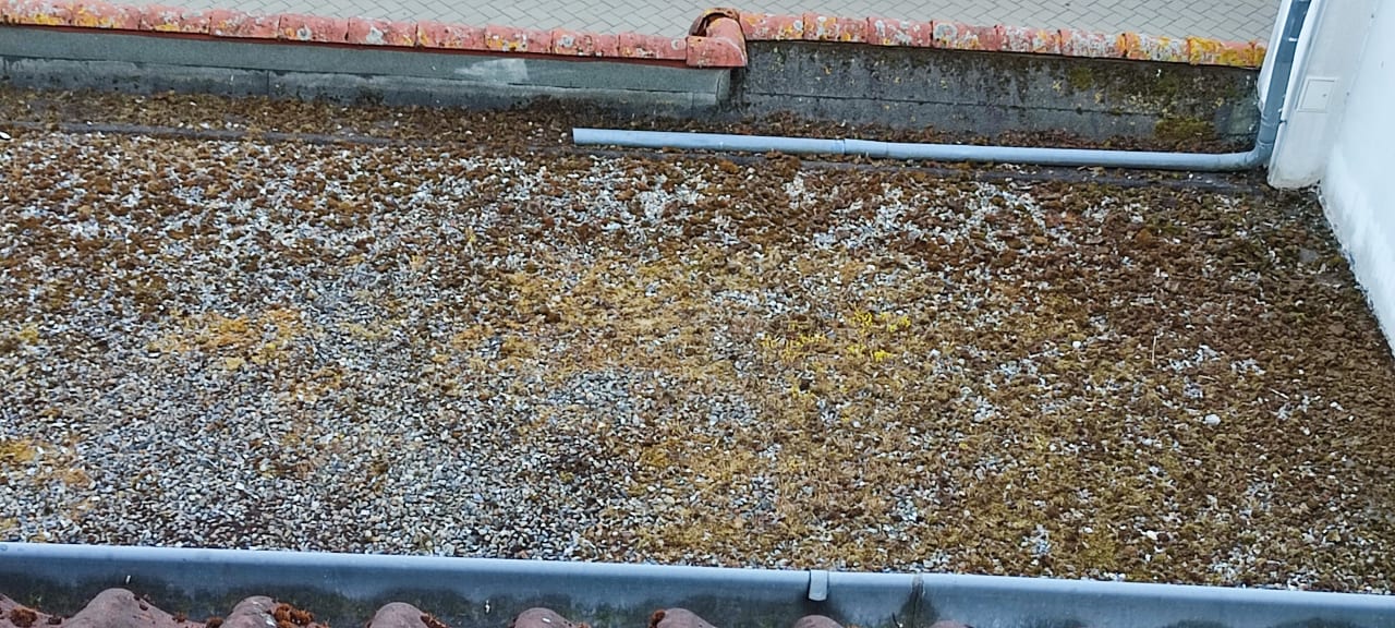 Ausblick Hotel Gorch Fock