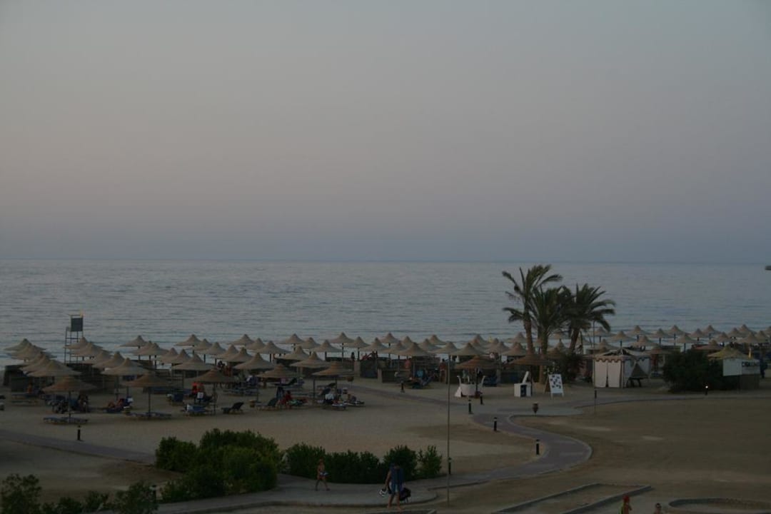 Widok z okna Malikia Resort Abu Dabbab