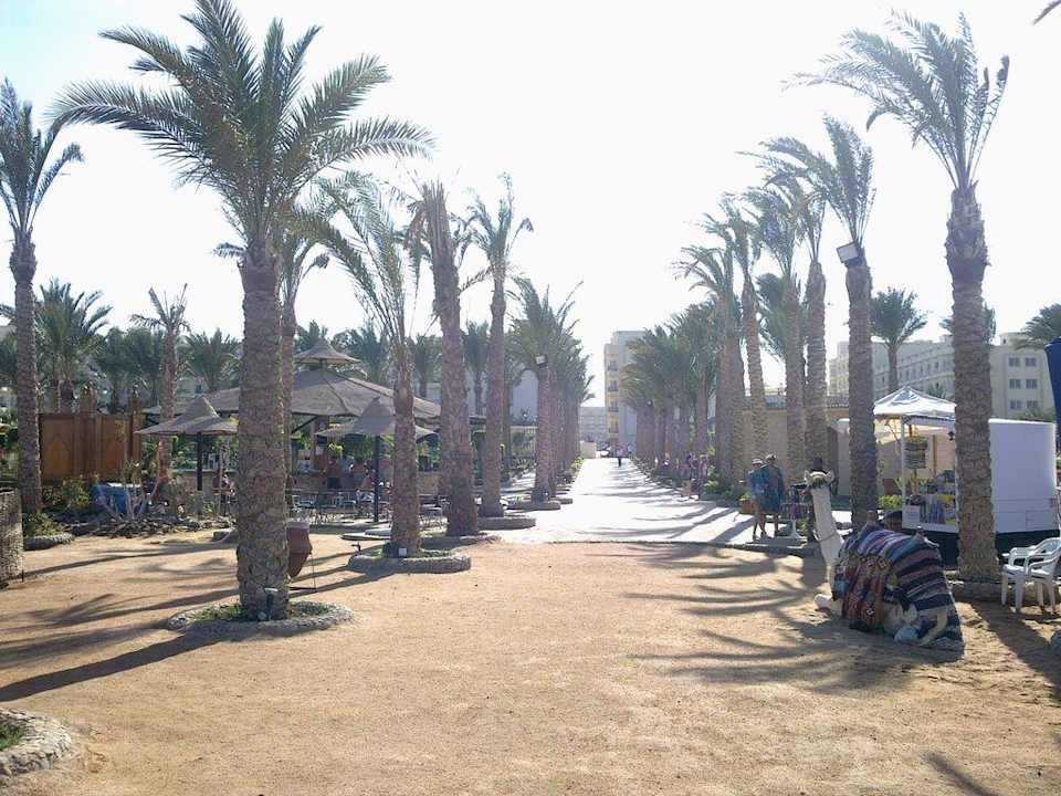 Вид на отель со стороны моря Riviera Aqua Park Resort