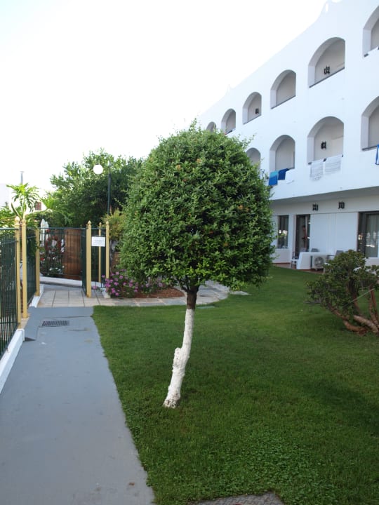 Gartenanlage Hotel Malia Holidays