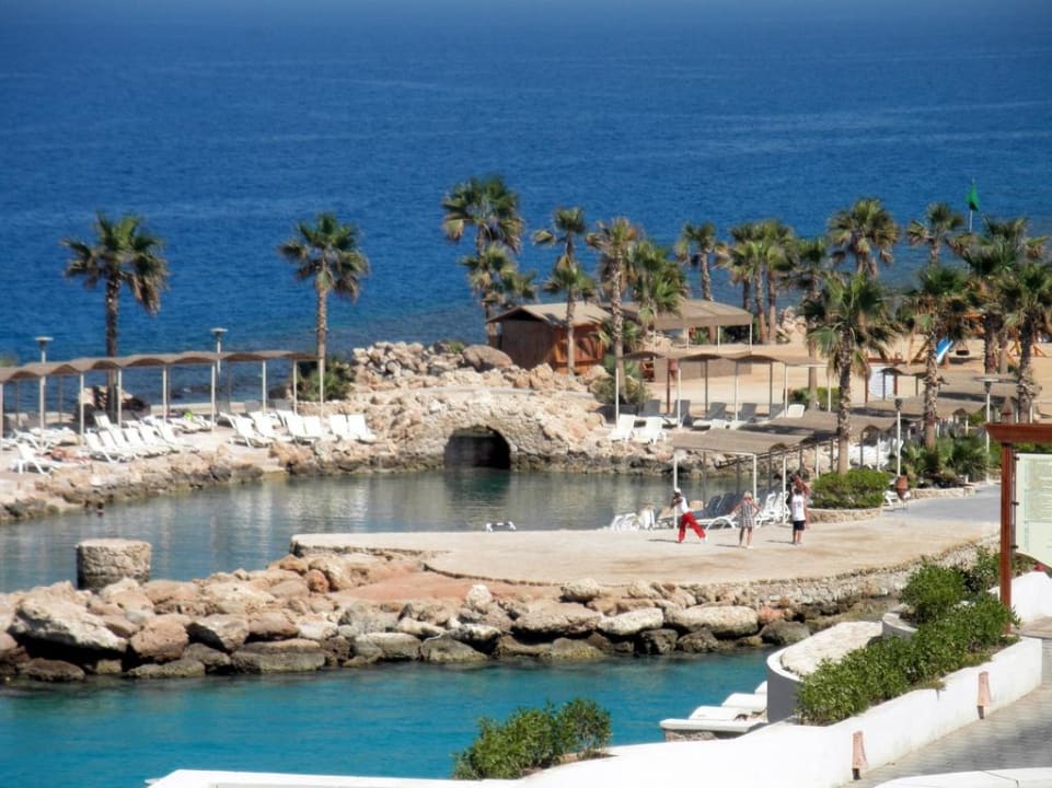 Капуэйра с аниматором Pickalbatros Citadel Resort