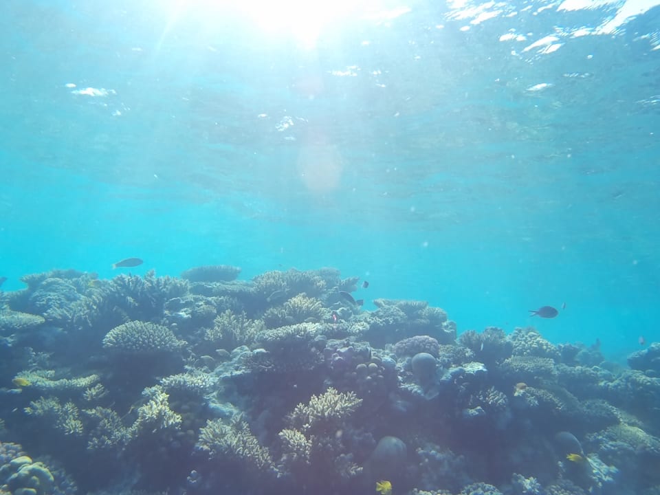 Sport & Freizeit Arabia Azur Resort