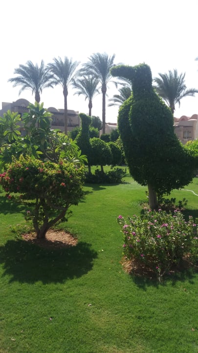 Gartenanlage Jaz Makadi Oasis Resort