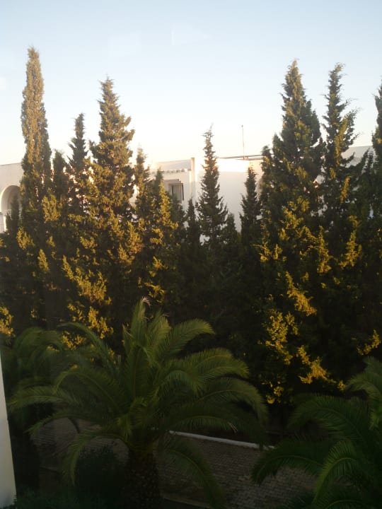 Gartenanlage TMK Hotel Flora Park