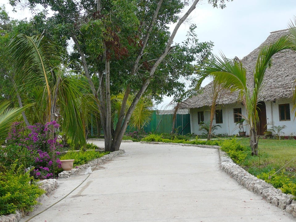 Der Weg zum Bunglow Karafuu Beach Resort & Spa