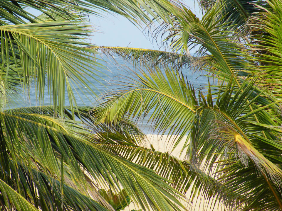 Blick aufs Meer Goldi Sands Hotel