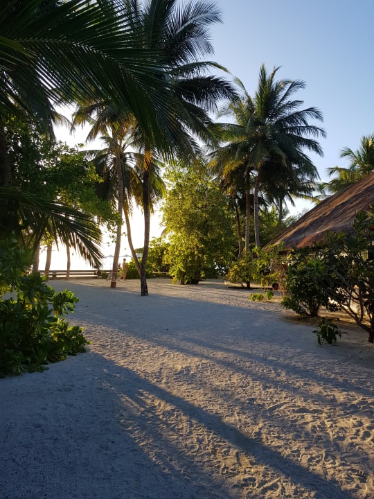 Strand Summer Island Maldives