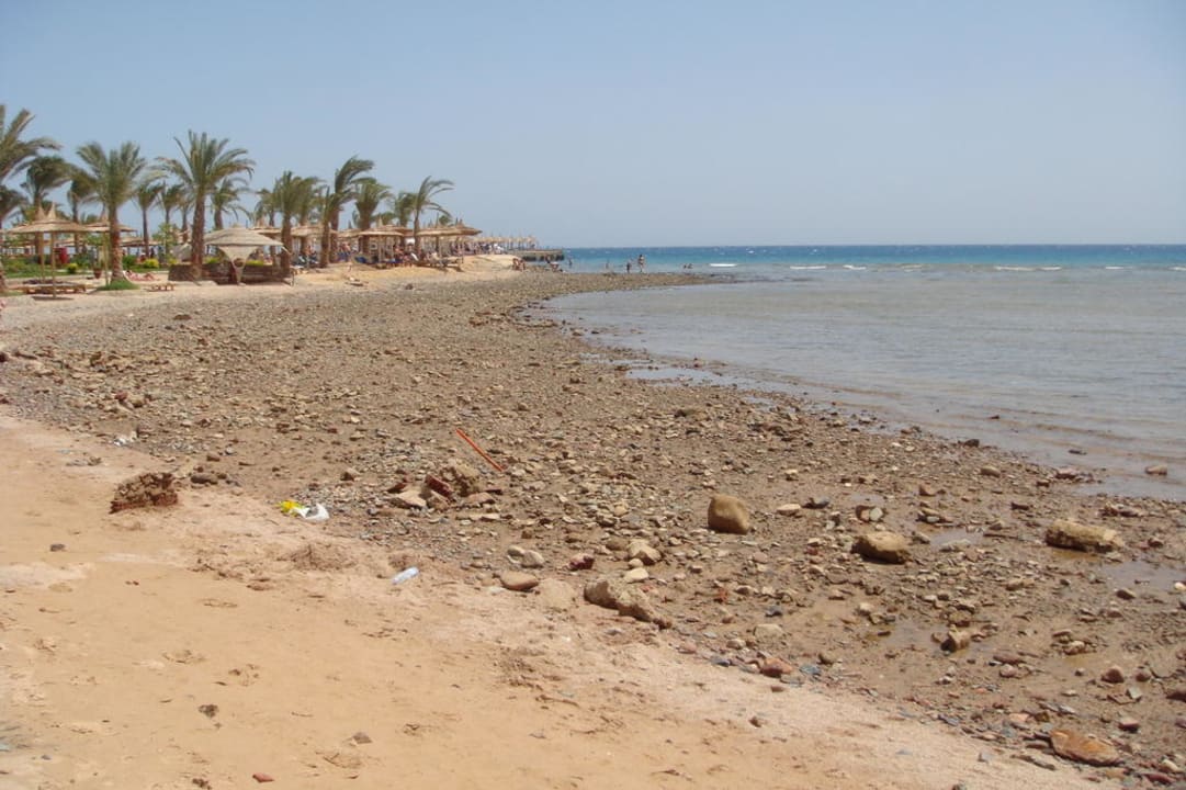 Mieser Strand bei stundenlanger Ebbe Pickalbatros Palace Resort